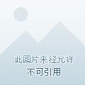 江湖一哥全文阅读