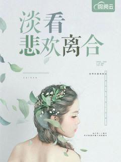 悲欢离合歌词是哪首歌