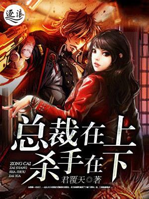 总裁在上杀手在下 总裁在上杀手在下